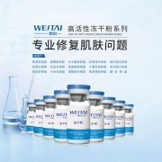 合元生物 以细胞之力，重塑生命健康新图景